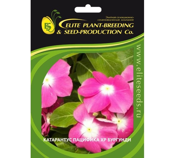 Семена ELITE PLANT-BREEDING & SEED PRODUCTION Co. Катарантус гибридный пацифика хр бургунди 70 шт эс мини 1026994475 1