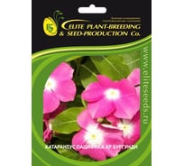 Семена ELITE PLANT-BREEDING & SEED PRODUCTION Co. Катарантус гибридный пацифика хр бургунди 500 шт эс 1026994474