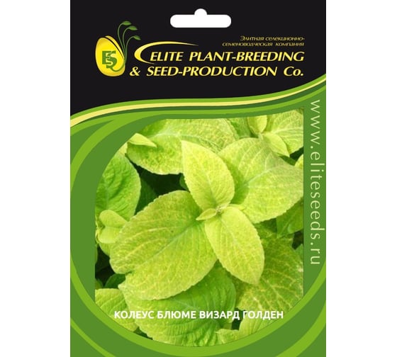 Семена ELITE PLANT-BREEDING & SEED PRODUCTION Co. Колеус блюме визард голден 500 шт эс 1910550 1