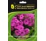 Семена ELITE PLANT-BREEDING & SEED PRODUCTION Co. Петуния суперкаскадная изи вейв неон роуз 50 шт эс 1026993846 1