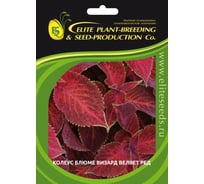 Семена ELITE PLANT-BREEDING & SEED PRODUCTION Co. Колеус блюме визард велвет ред 70 шт эс мини 1999943227