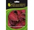Семена ELITE PLANT-BREEDING & SEED PRODUCTION Co. Колеус блюме визард велвет ред 70 шт эс мини 1999943227 1