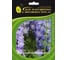Семена ELITE PLANT-BREEDING & SEED PRODUCTION Co. Дельфиниум гардиан лавендер f1 10 шт эс мини 1999946288 1