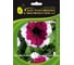 Семена ELITE PLANT-BREEDING & SEED PRODUCTION Co. Петуния крупноцвет дримз бургунди пикоти f1 70 шт эс мини 1999943409 1