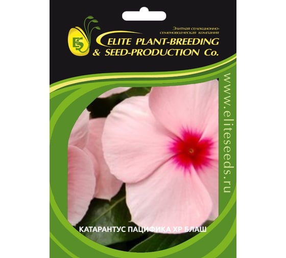 Семена ELITE PLANT-BREEDING & SEED PRODUCTION Co. Катарантус гибридный пацифика хр блаш 70 шт эс мини 1999943233