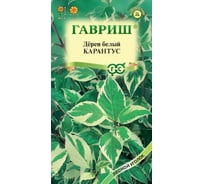 Семена ГАВРИШ Дерен белый Карантус 0.1 г 003624
