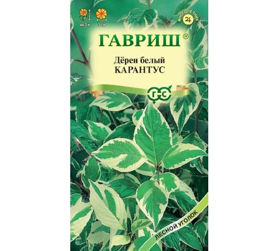 Семена ГАВРИШ Дерен белый Карантус 0.1 г 003624