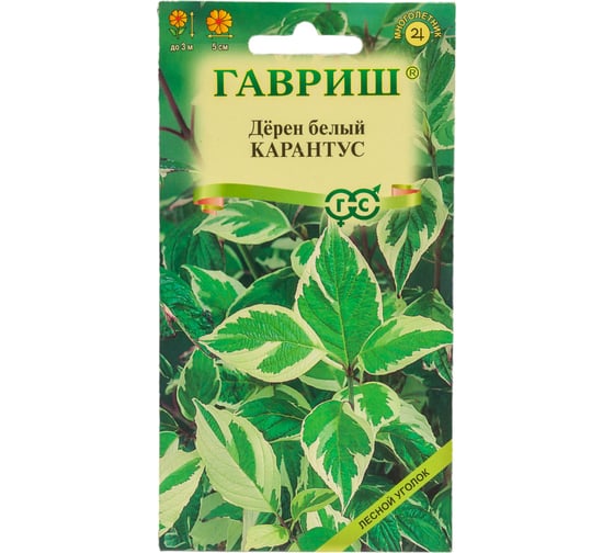 Семена ГАВРИШ Дерен белый Карантус 0.1 г 003624