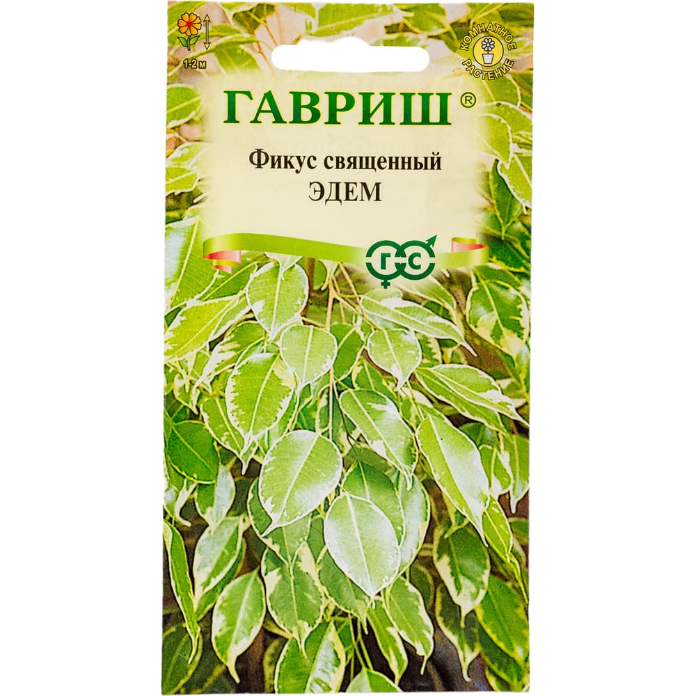 Семена ГАВРИШ Фикус священный Эдем 0.03 г 4601772 - выгодная цена ...