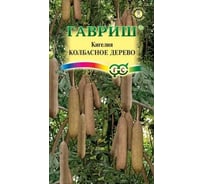 Семена ГАВРИШ Кигелия Колбасное дерево 3 шт 004967