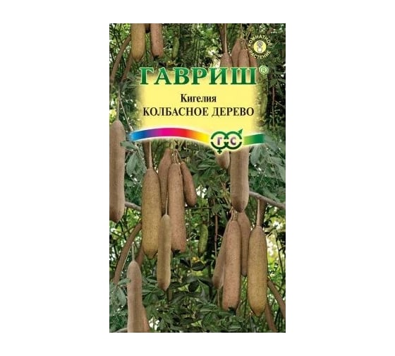 Семена ГАВРИШ Кигелия Колбасное дерево 3 шт 004967 1