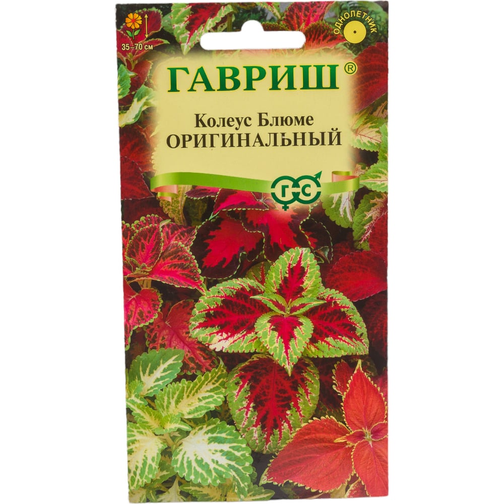 Семена ГАВРИШ Колеус Оригинальный, смесь 0.03 г 1071857911 - выгодная ...