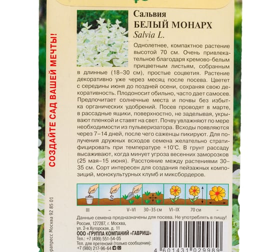 Семена ГАВРИШ Сальвия Белый монарх хорминум 0.05 г 10001704