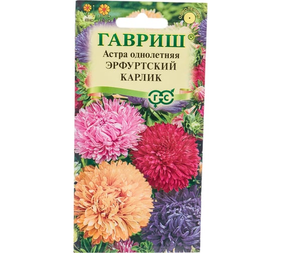 Семена ГАВРИШ Астра Эрфуртский карлик, однолетняя смесь 0.3 г 00001621 1