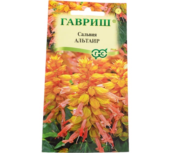 Семена ГАВРИШ Сальвия Альтаир, карликовая 4 шт 1071858220 1