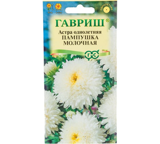 Семена ГАВРИШ Астра Пампушка молочная, однолетняя помпонная белая 0.3 г 10006534 1