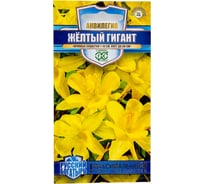 Семена ГАВРИШ Аквилегия Желтый гигант, культурная.0.05 г, серия Русский богатырь 1999949486