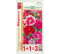 Семена ГАВРИШ Гвоздика китайская, Махровая, смесь 0.4 г серия 1+1 1071857793