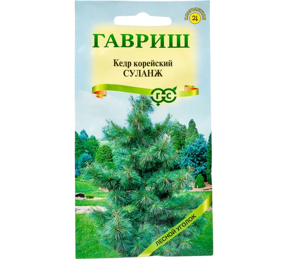 Семена ГАВРИШ Кедр корейский Суланж 3 шт 1999942480 1