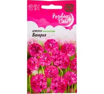 Семена ГАВРИШ Армерия Валерия приморская 0.02 г, серия Розовые сны 1071856841