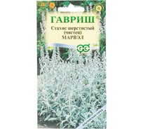 Семена ГАВРИШ Чистец византийский Стахис Марвэл 0.05 г серия Альпийская горка 003771