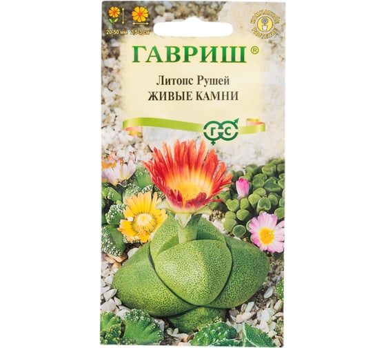 Семена ГАВРИШ Литопс Живые Камни 5 шт пробирка 1999946517 1
