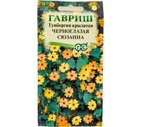 Семена ГАВРИШ Тунбергия крылатая Черноглазая Сюзанна 0.3 г 00001653