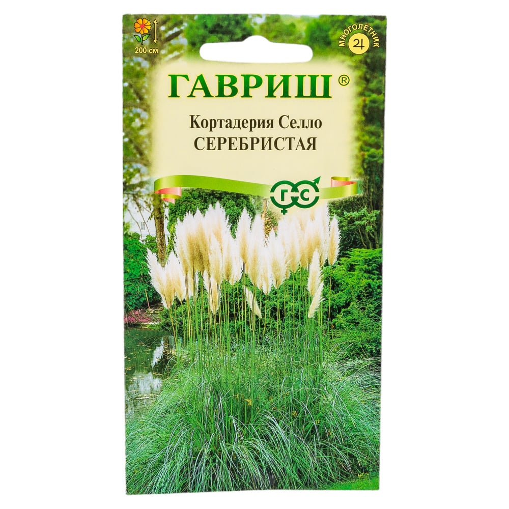 Кортадерия Купить Саженцы В Москве