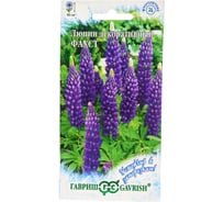 Семена ГАВРИШ Люпин Фауст многолистный 0.5 г серия Устойчив к заморозкам! 4602133