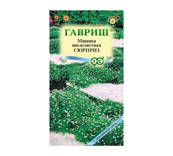 Семена ГАВРИШ Мшанка шилолистная Сюрприз 0.01 г серия Альпийская горка 1071857989 1