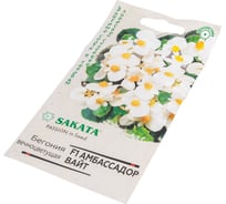 Семена ГАВРИШ Бегония Амбассадор Вайт вечноцвет 4 шт пробирка Саката серия Элитная клумба 1912237174