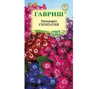 Семена ГАВРИШ Цинерария Симпатия цветущая гибридная 8 шт 1071858316