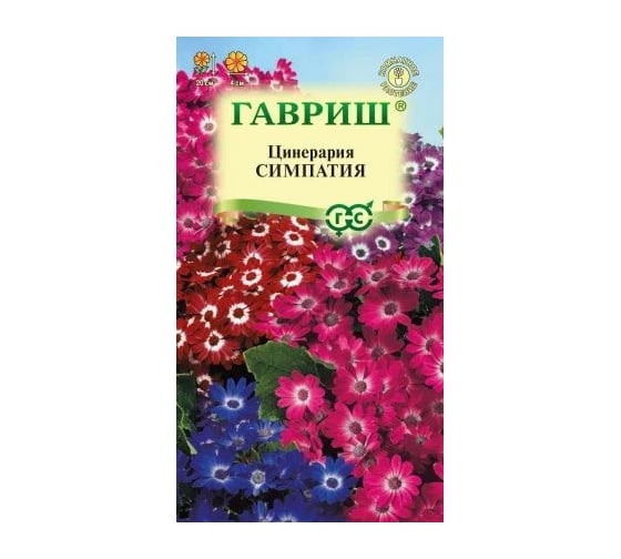 Семена ГАВРИШ Цинерария Симпатия цветущая гибридная 8 шт 1071858316 1
