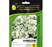 Алиссум эстер боннет уайт 50 шт эс мини ELITE PLANT-BREEDING & SEED PRODUCTION Co. 1026993675