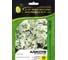 Алиссум эстер боннет уайт 50 шт эс мини ELITE PLANT-BREEDING & SEED PRODUCTION Co. 1026993675 1