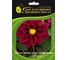 Георгина гибридная фигаро виолет шейдз 30 шт эс мини ELITE PLANT-BREEDING & SEED PRODUCTION Co. 1999942876 1
