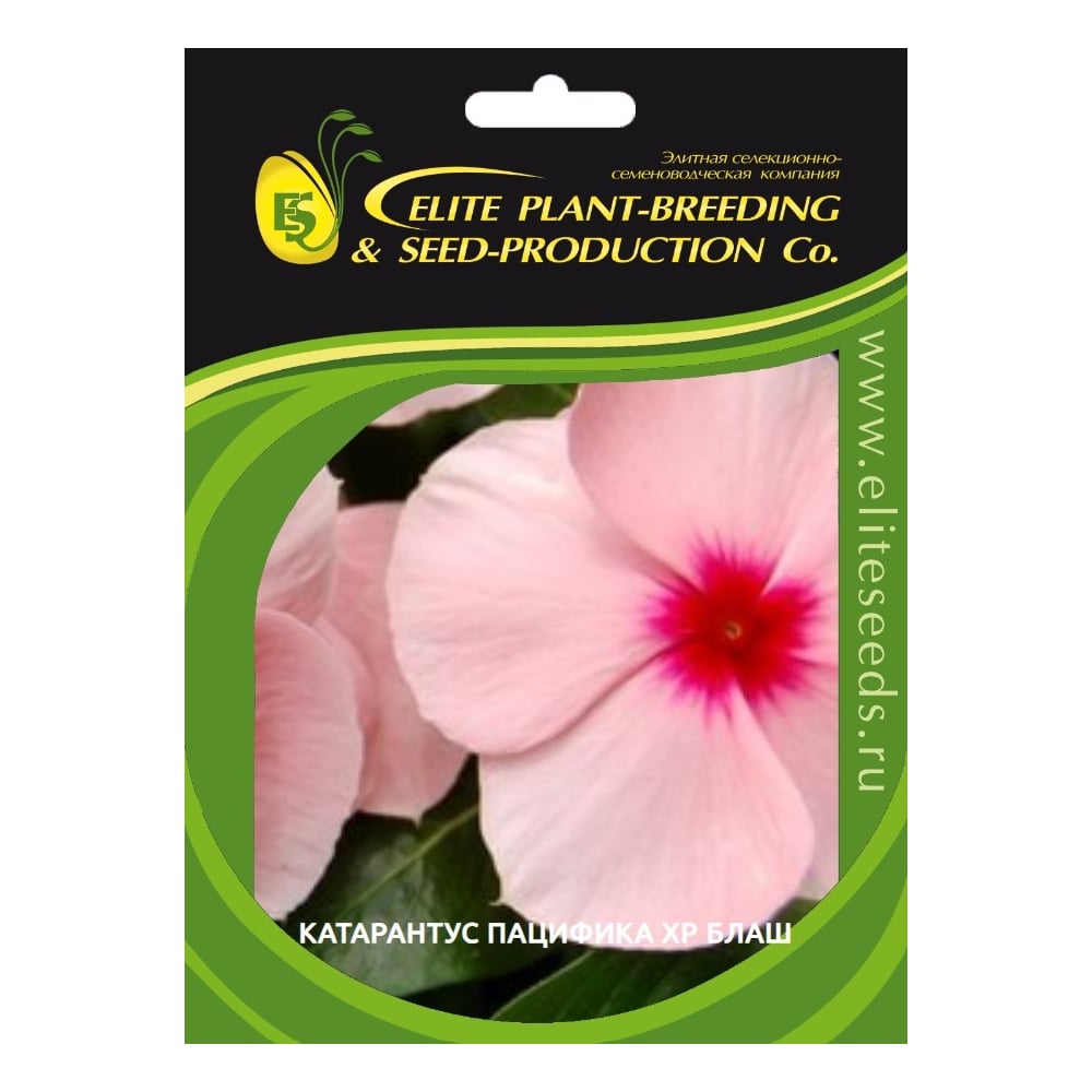 Катарантус гибридный пацифика хр блаш 500 шт эс ELITE PLANT-BREEDING ...