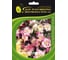 Аквилегия свон микс f1 20 шт эс мини ELITE PLANT-BREEDING & SEED PRODUCTION Co. 1070016622 1
