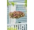 Виола виттрока кул вейв расберри свирл f1 20 шт эс мини ELITE PLANT-BREEDING & SEED PRODUCTION Co. 1070016646 3