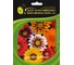 Гацания саншайн микс 50 шт эс мини ELITE PLANT-BREEDING & SEED PRODUCTION Co. 1999944164 1