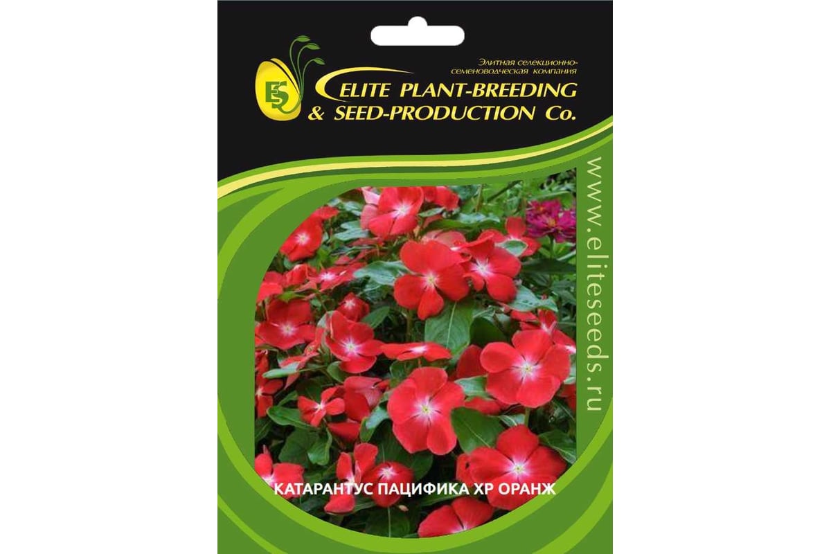 Катарантус ELITE PLANT-BREEDING & SEED PRODUCTION Co. гибридный ...