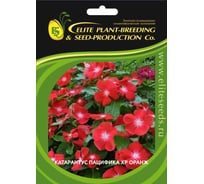 Катарантус ELITE PLANT-BREEDING & SEED PRODUCTION Co. гибридный пацифика хр оранж 500 шт эс 1910701