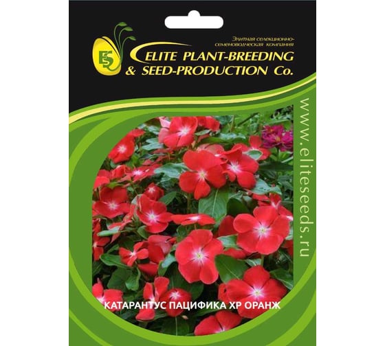 Катарантус ELITE PLANT-BREEDING & SEED PRODUCTION Co. гибридный пацифика хр оранж 500 шт эс 1910701