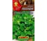 Шпинат АЭЛИТА Новозеландский 1г 00-00576629 1