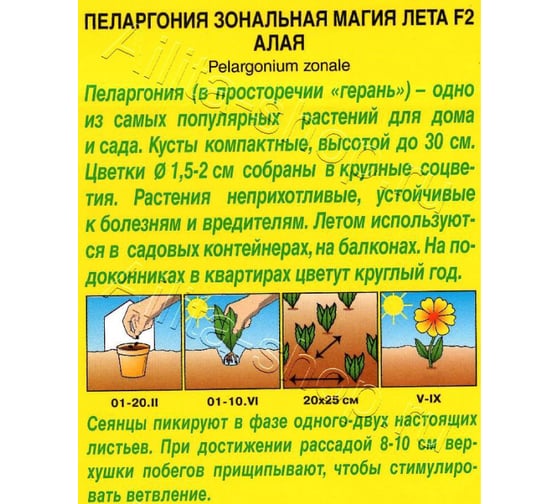 Семена АЭЛИТА Пеларгония Магия лета F2 алая, 5шт 00-00574210
