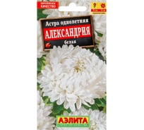 Астра АЭЛИТА Александрия белая Одн, 0,1г 00-00572743