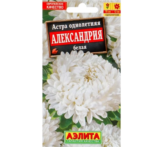Астра АЭЛИТА Александрия белая Одн, 0,1г 00-00572743 1