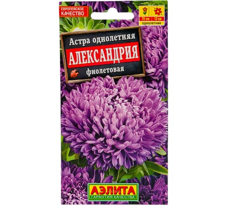 Астра АЭЛИТА Александрия фиолетовая Одн, 0,1г 00-00568243