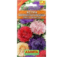 Астра АЭЛИТА Американская красавица, смесь окрасок Одн, 0,2г 00-00580178