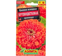 Цинния АЭЛИТА Крупноцветковая оранжевая Одн, 0,3г 00-00569491